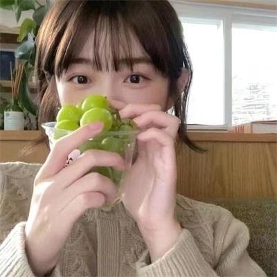 披荆斩棘第五季